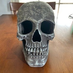 Distressed look skull